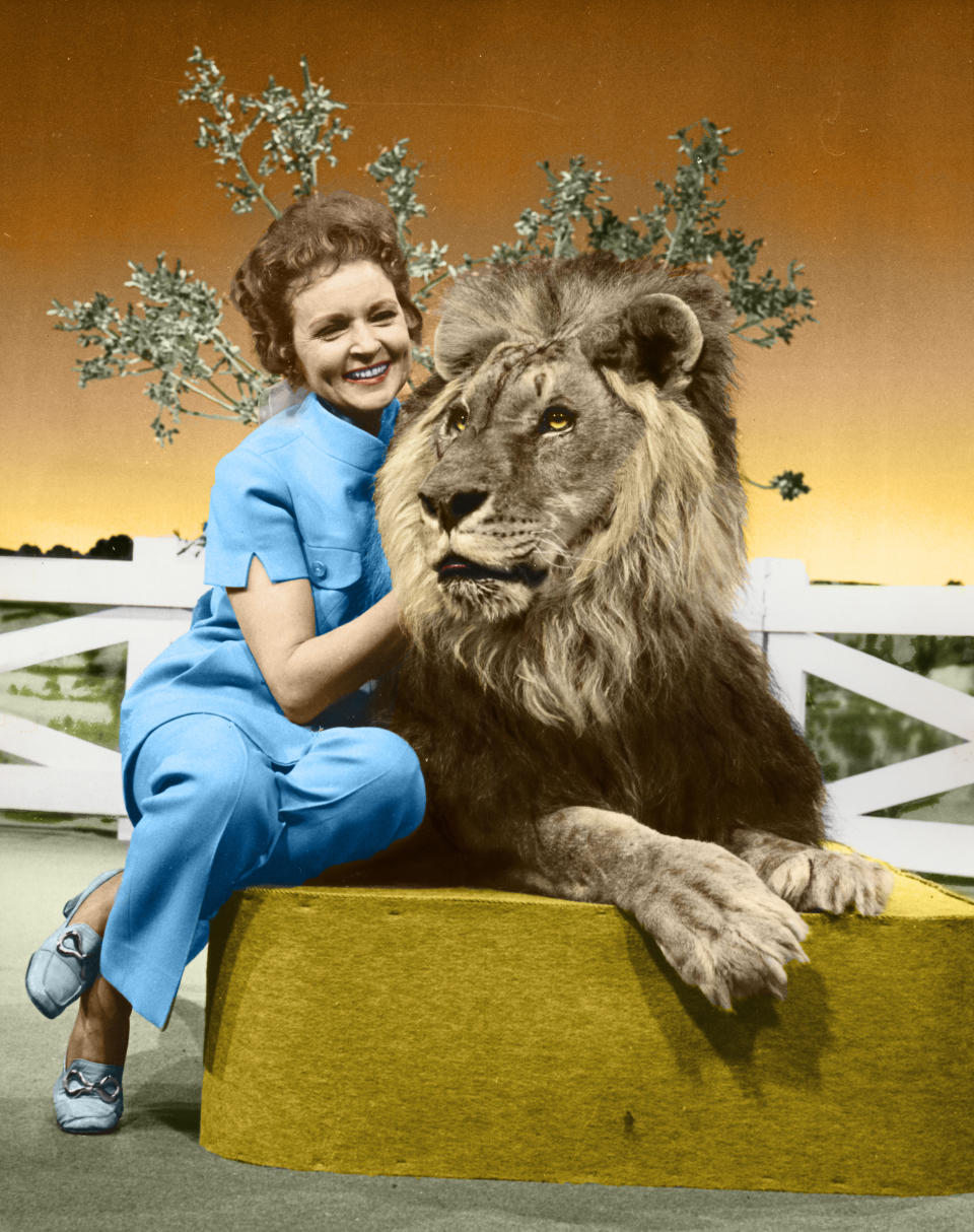 This colorized image released by Margate And Chandler, Inc. shows actress and animal activist Betty White with a lion from her 1970s series “The Pet Set." The restored 39-episode series, renamed "Betty White’s Pet Set,” features celebrity guests Mary Tyler Moore, Carol Burnett, Burt Reynolds, James Brolin and Della Reese. (Margate And Chandler, Inc. via AP)