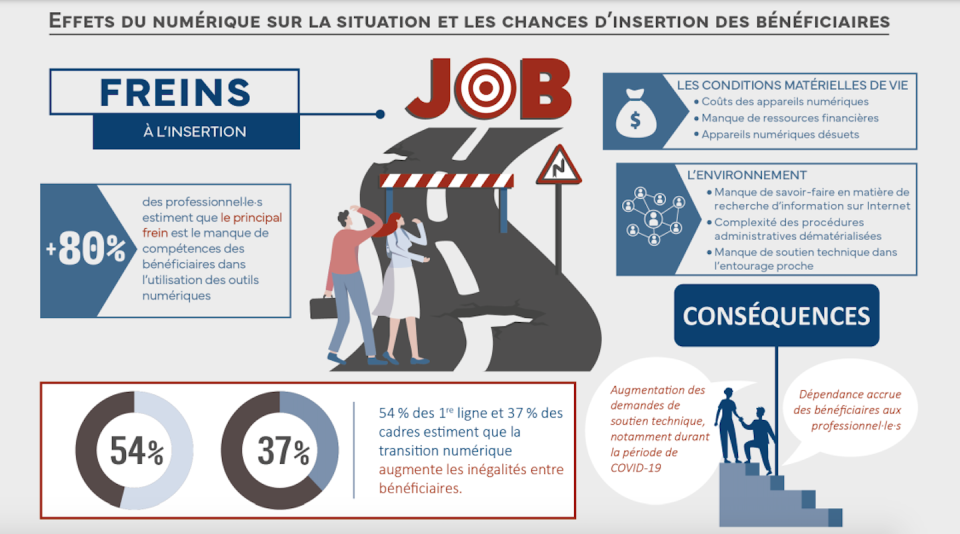 Effets du numériques sur les personnes en situation d’insertion-professionnelle en Suisse. Données issues de l’enquête des auteurs. Author provided