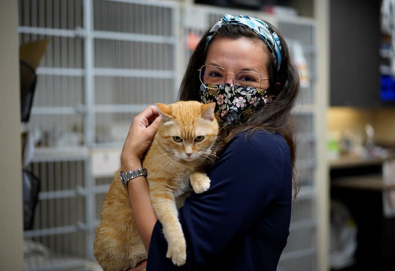 Miche Priest, venture lead of Alta ML with a cat at the Wild Rose Cat clinic in Calgary