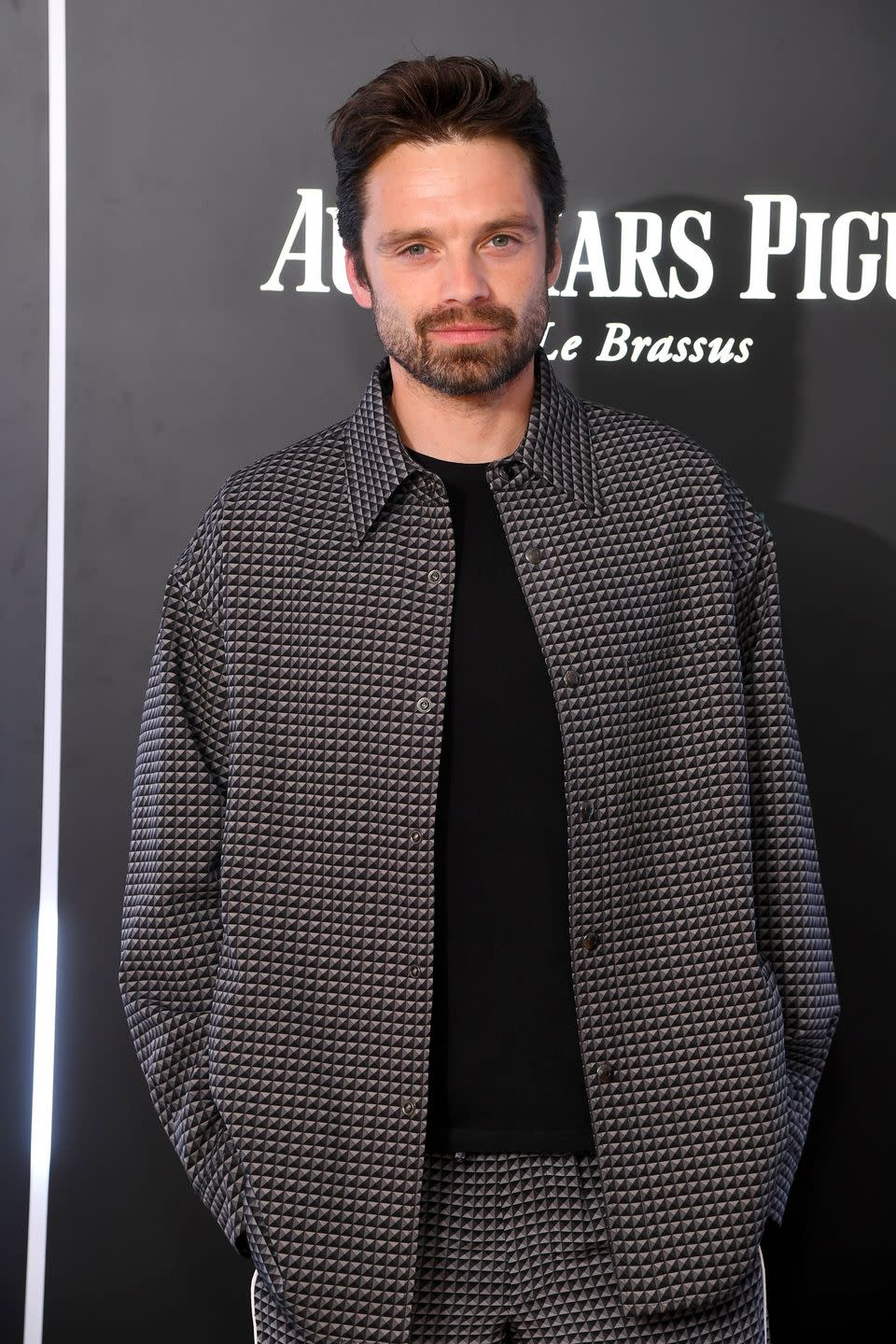 sebastian stan