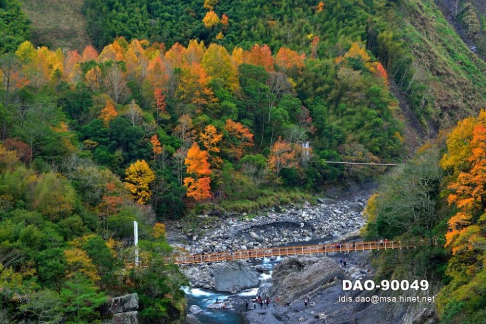 山林楓景與水上吊橋，造就獨特絕景。