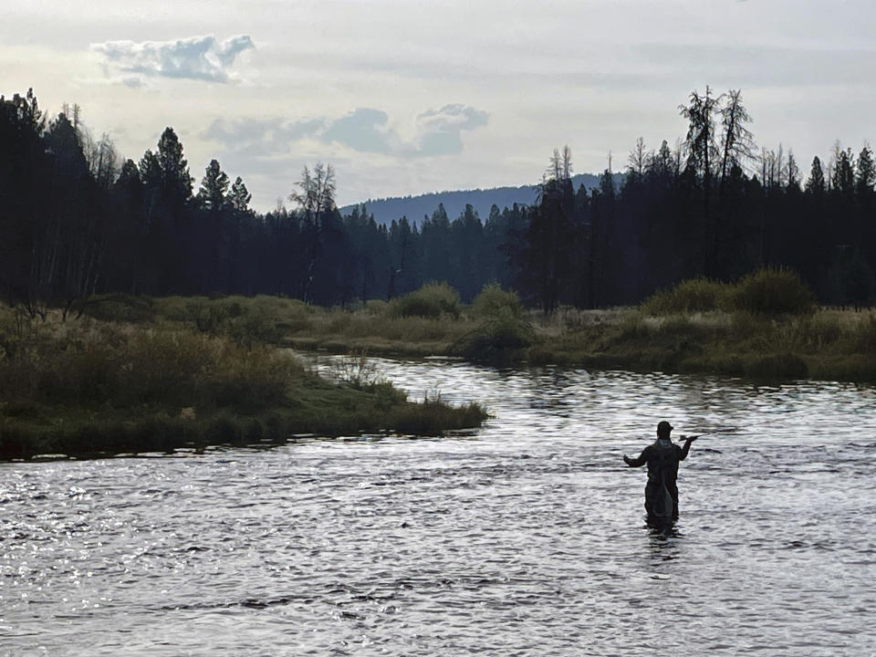 A fly fisherman stands in the Williamson River, which feeds into the Klamath River, in Chiloquin, Ore. on Monday, Sept. 18, 2023. Tribal leaders hope the removal of a series of four dams along the California-Oregon border will lead to the return of salmon runs, which were devastated when the dams were built a century ago. (AP Photo/Haven Daley)