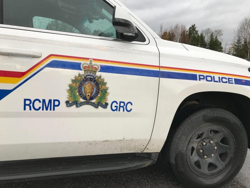 The St. Anthony RCMP, on Newfoundland's west coast, say search teams found the body of a snowmobiler who went missing Saturday. (CBC - image credit)