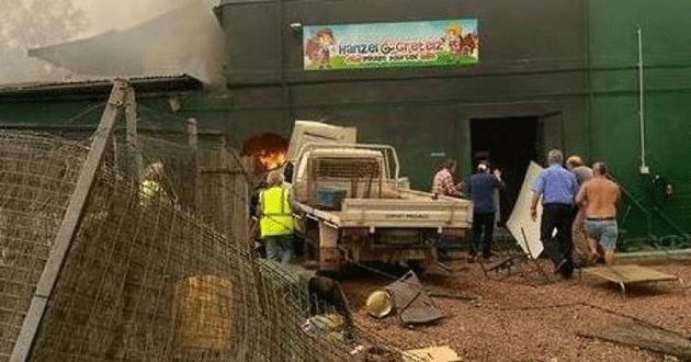 A ute ploughed into the back of the Serves You Right cafe.