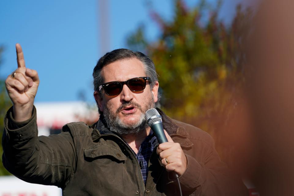 Sen. Ted Cruz, R-Texas, speaks at a campaign rally for Sen. Kelly Loeffler, R-Ga.,  Jan. 2, 2021, in Cumming, Ga.