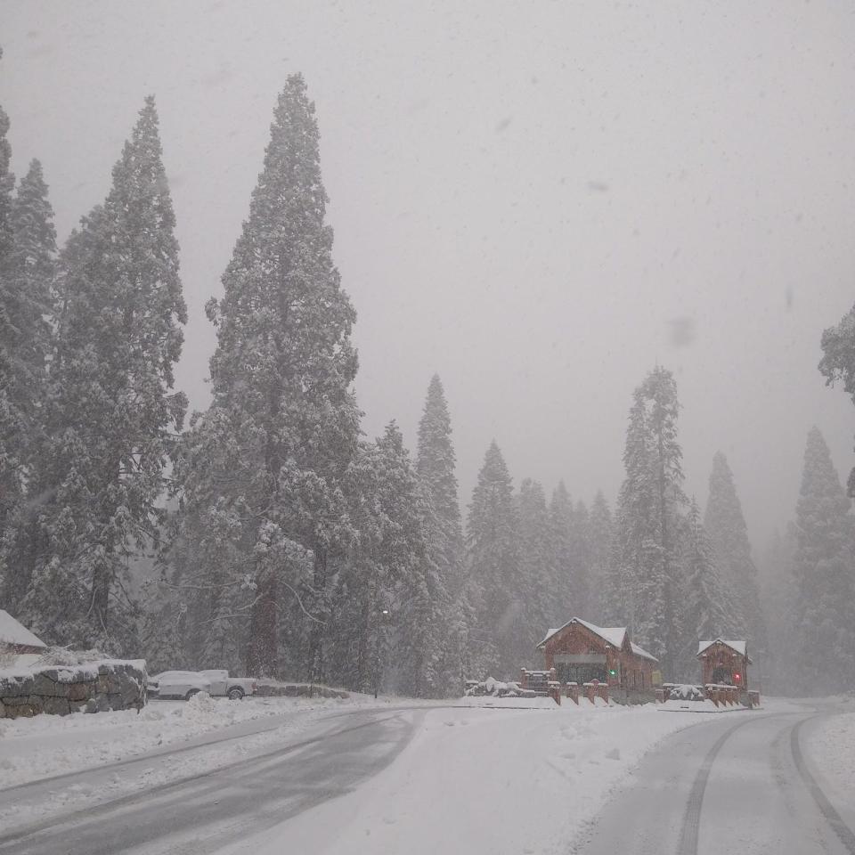 Snow falls near the Kings Canyon National Park entrance on Dec. 9, 2021. Sequoia National Park will reopen with limited big tree access this month after the KNP Complex Fire shuttered the park in September.