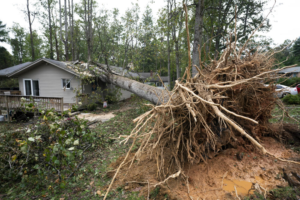 A fallen tree on a home after Hurricane Helene on September 28 in Asheville, North Carolina 