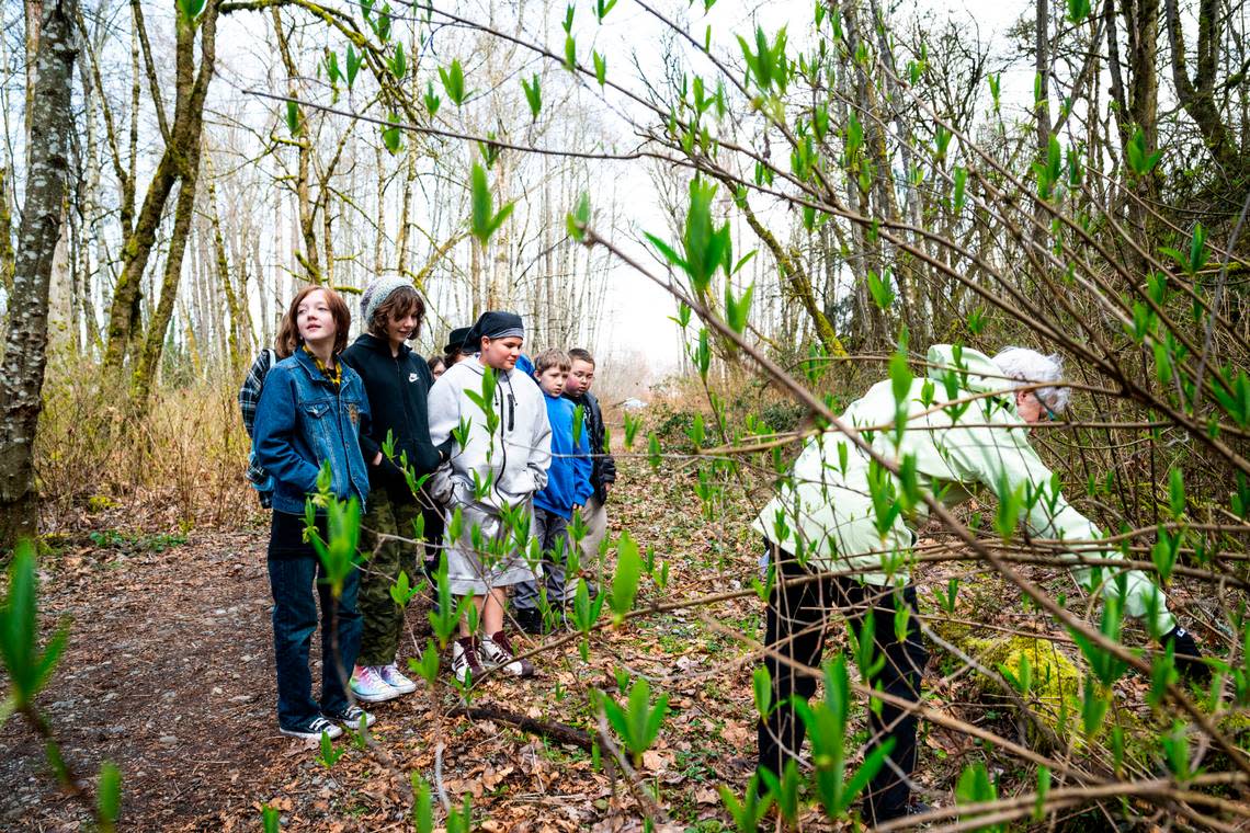 Grant Elementary School fifth graders walk through the woods at Swan Creek Park looking for certain species of plants during a school field trip that is part of the Foss Waterway Seaport Salmon in the Classroom program, in Tacoma on March 15, 2023.