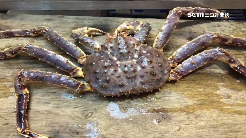 民眾在台中新建國市場買了一隻2.3公斤的帝王蟹。