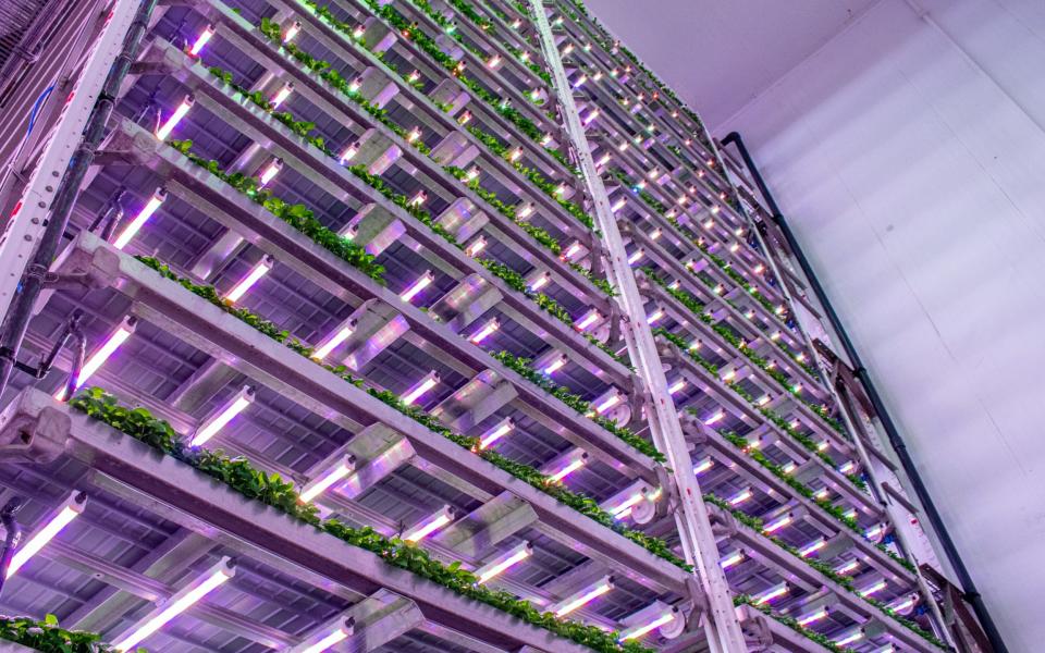 vertical farming