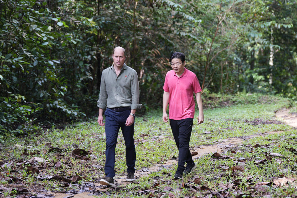 FILE - Britain's Prince William, left, and Singapore's Deputy Prime Minister and Minister of Finance Lawrence Wong visit the Central Catchment Nature Reserve of Singapore on Nov. 8, 2023. Singapore’s deputy leader Wong is set to be sworn in Wednesday, May 15, 2024, as the nation’s fourth prime minister in a carefully planned political succession designed to ensure continuity and stability in the Asian financial hub. (AP Photo/Vincent Thian, File)