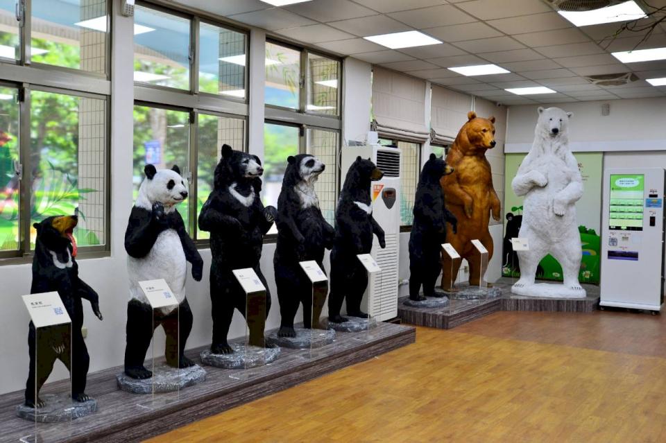 不只台灣黑熊，台灣黑熊教育館也打造真實比例的世界八大熊類模型，傳達生物多樣性的重要。 (台灣黑熊教育館／頑石創意提供)