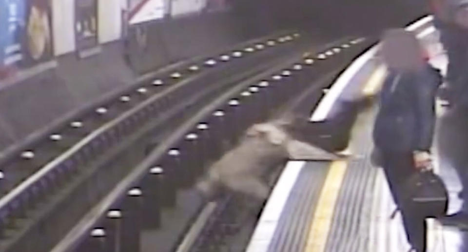 Malpas was sent head first onto the tracks. Source: British Transport Police
