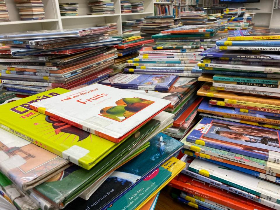 Books that were removed from school libraries to be vetted by librarians in order to comply with Florida censorship laws. (The Independent)