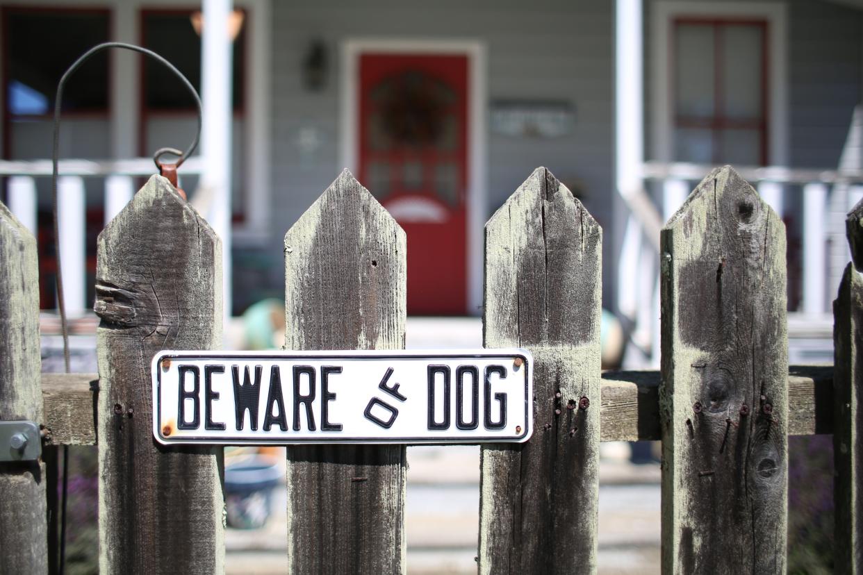 With National Dog Bite Awareness Week having begun on Saturday and continuing through to June 18, the United States Postal Service released its annual report about how many of their employees were attacked by dogs. 