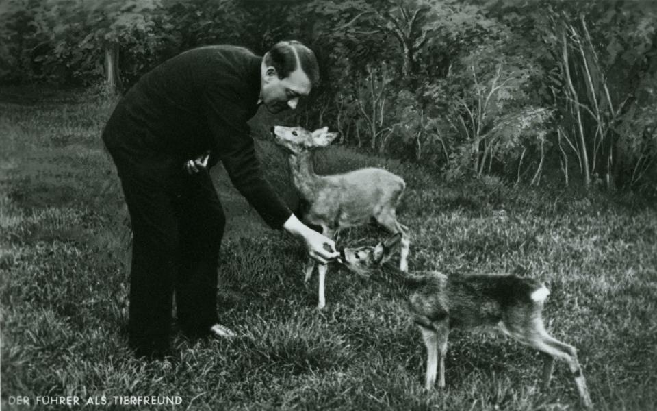 ‘The Führer as Animal Lover.’ Hitler feeds a deer in a photograph snapped by his offical photographer, Heinrich Hoffmann. Heinrich Hoffmann Collection, Picture Archive, Bavarian State Library