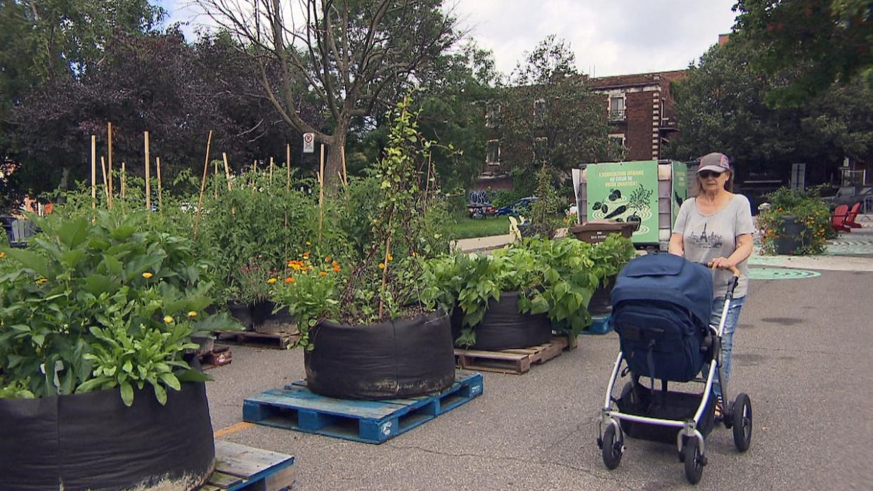 Hedy Dab strolls down a street that is closed to cars in NDG. The street is packed with potted plants as it serves as a community garden and public space. (CBC - image credit)