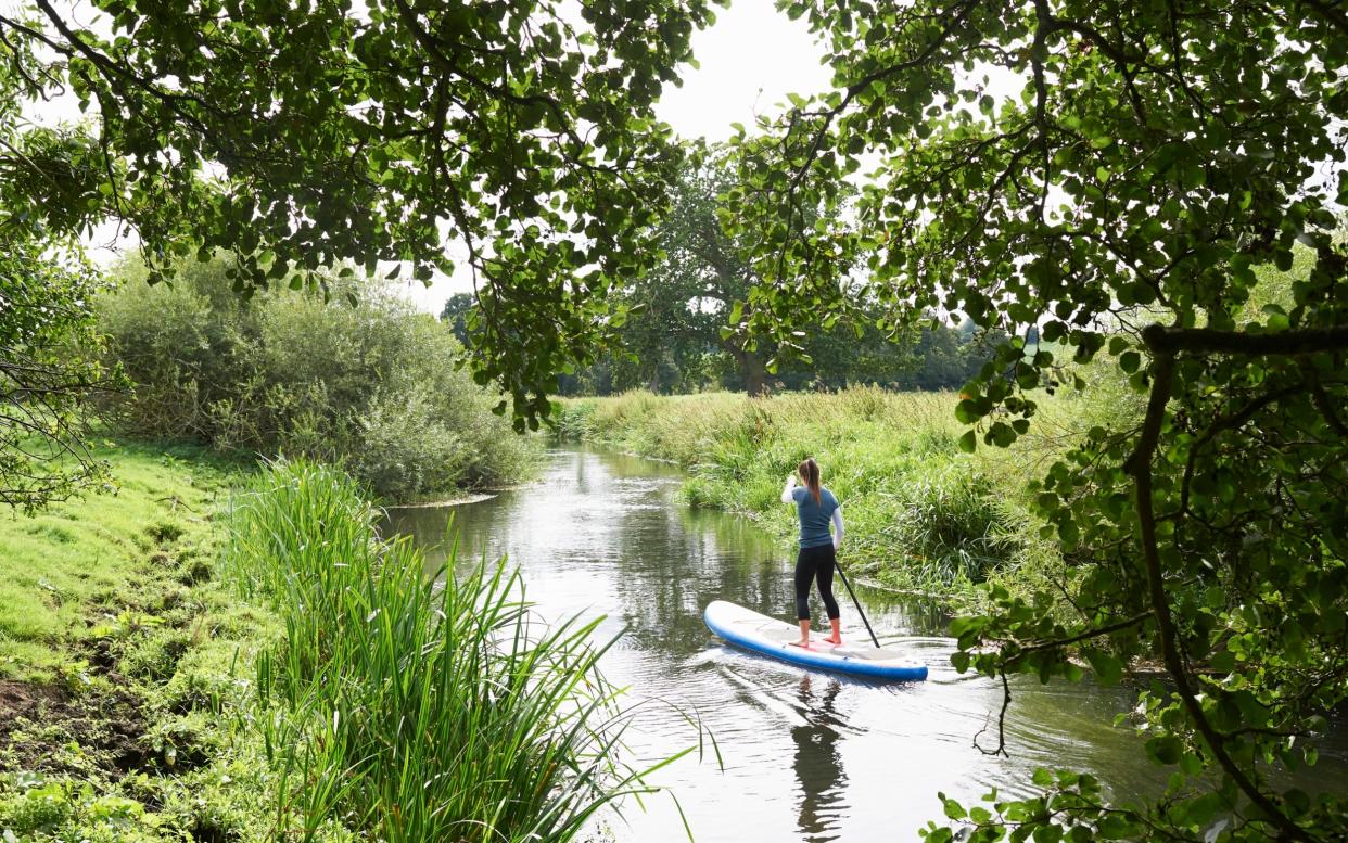 Paddleboarding on the River Wensum is a popular pastime in Norfolk