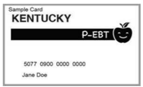 Pandemic Electronic Benefit Transfer, or P-EBT cards, have been distributed to families of K-12 students in Kentucky as compensation for school closures earlier this year that halted free or reduced price meal programs.