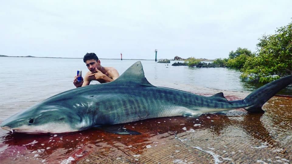 The teenage fisherman said he eventually released the massive tiger shark. Source: Facebook