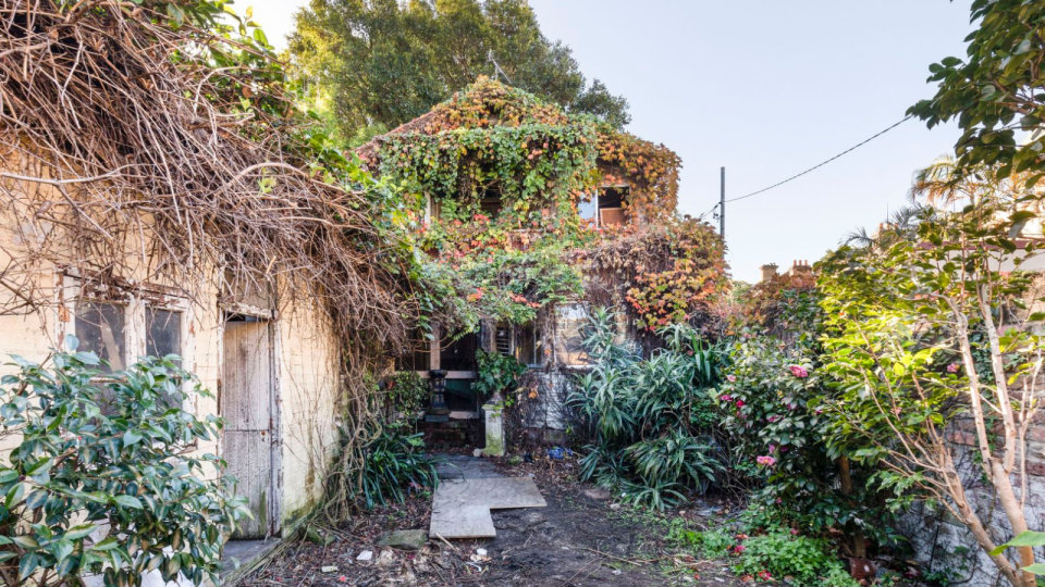 Overgrown Sydney house.