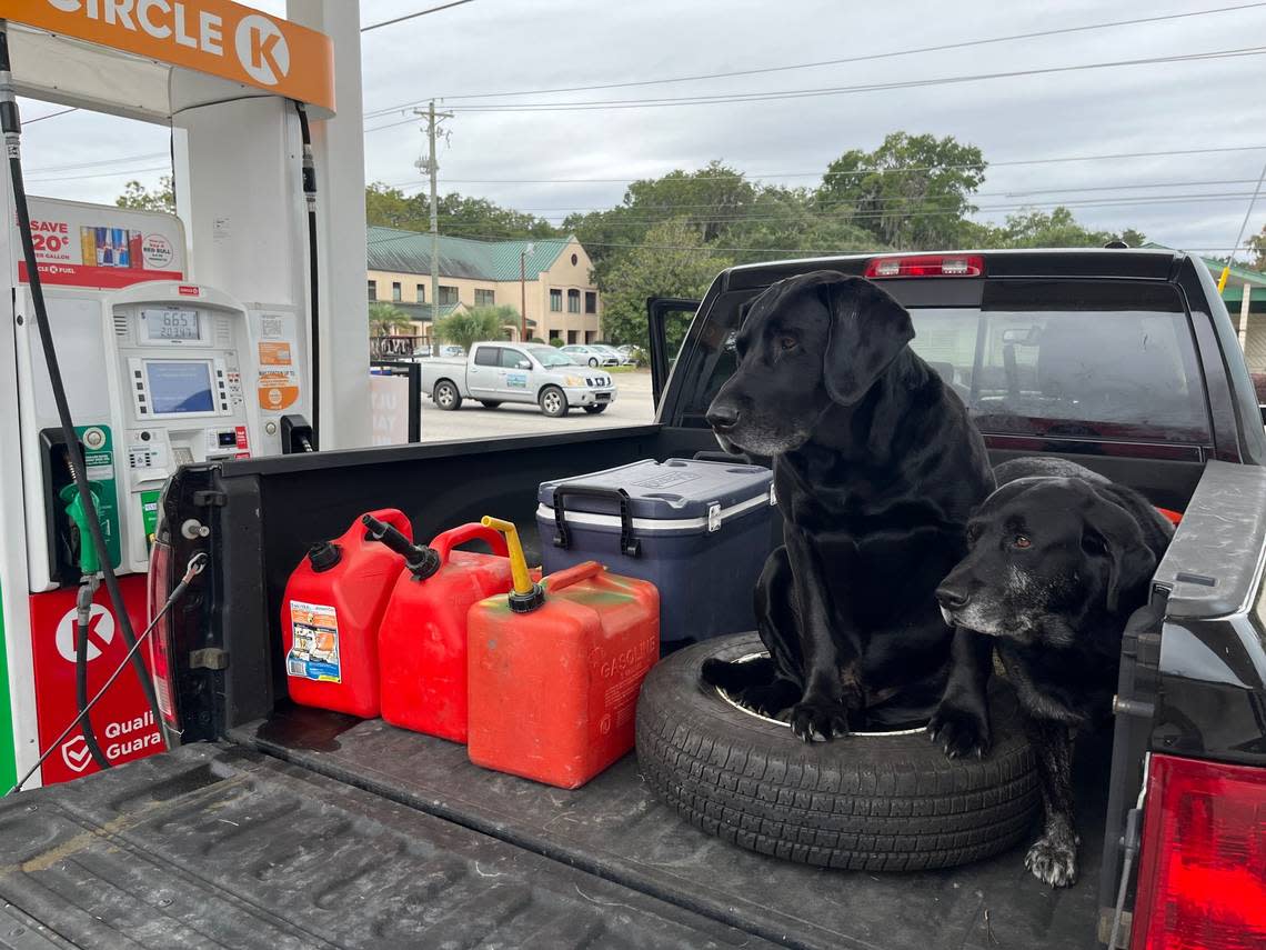 Black labs Moose — the big one and “the talker” — and Dash waited patiently in the back of a pickup as Louis Tracy filled up containers with gas for his generator at the Circle K in Port Royal on Thursday, Sept. 29, 2022.