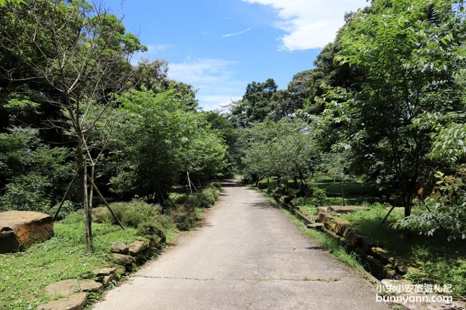 三峽熊空茶園