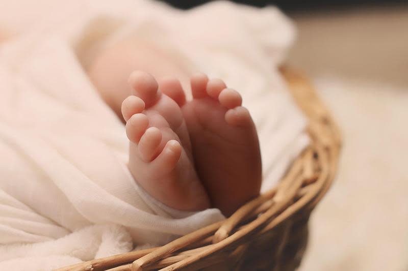 易經命理老師高煜霖指出，「癸卯」年出生的新生兒，基本上很有福氣、好運。（示意圖。Pixabay）