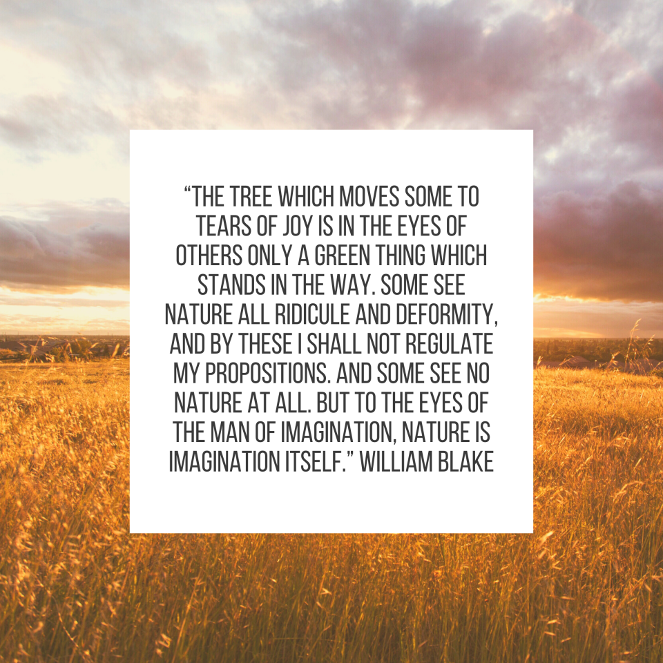 “The tree which moves some to tears of joy is in the eyes of others only a green thing which stands in the way. Some see nature all ridicule and deformity, and by these I shall not regulate my propositions. And some see no nature at all. But to the eyes of the man of imagination, nature is imagination itself.” William Blake