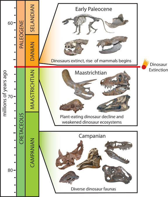 Extinct animals timeline