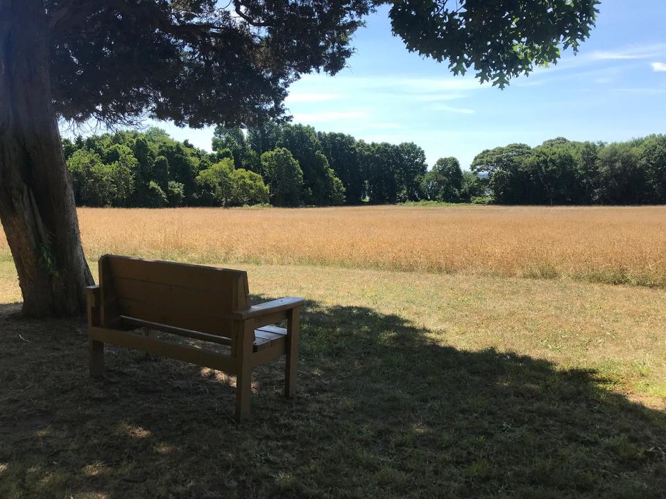 Mount Hope Farm includes several large hay fields that provide habitat for ground animals and birds.