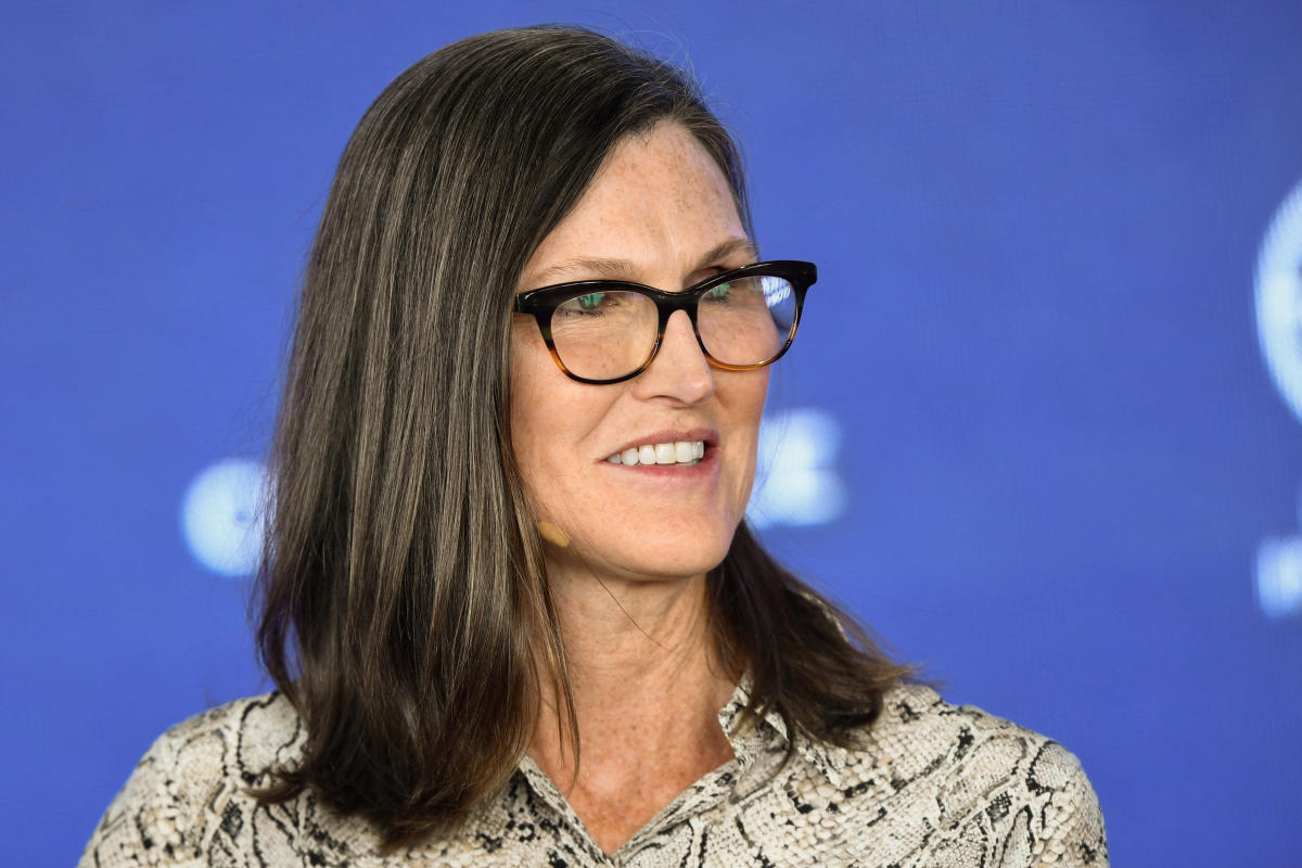 Cathie Wood is still all-in on bitcoin: Morning Brief