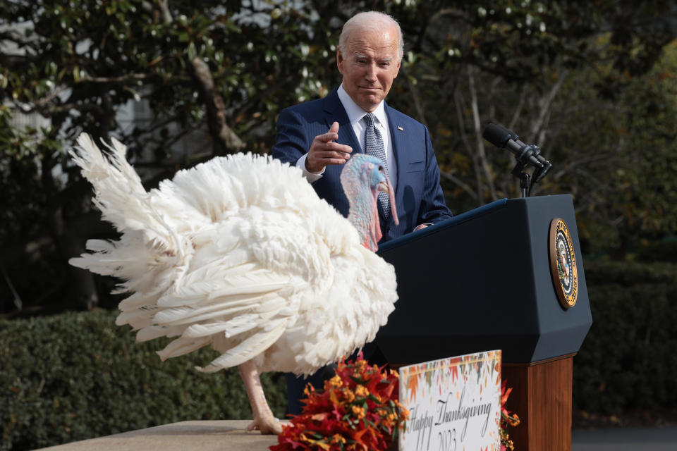 President Biden pardons the national Thanksgiving turkeys Liberty and Bell during a ceremony on the South Lawn of the White House on Nov. 20, 2023. / Credit: Getty Images
