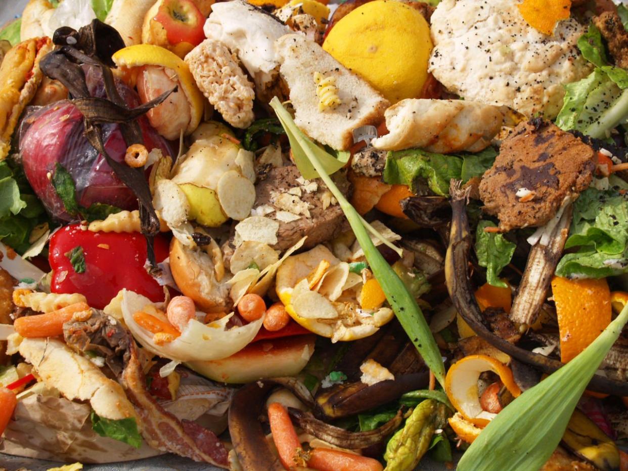garbage food waste rotten rotting vegetables