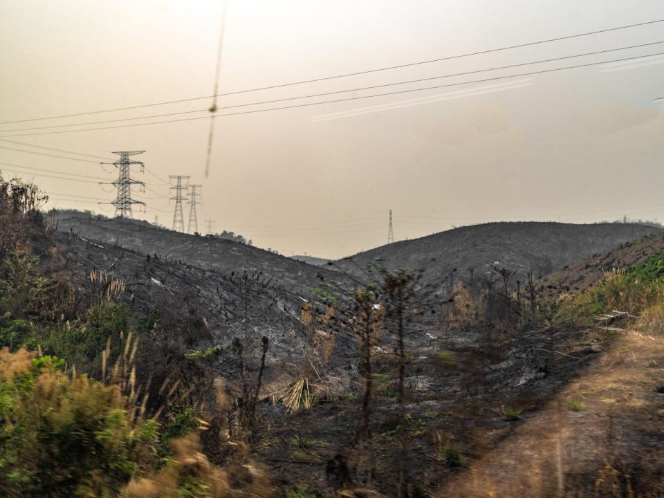 Slash and burn in the Laotian countryside.