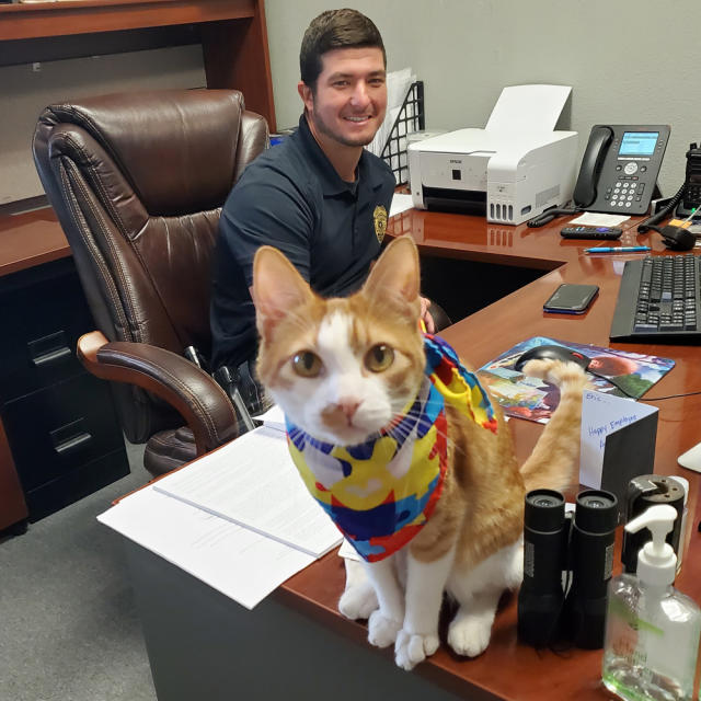 The Long Paw Of The Law: Cat Helps Port Lavaca Police Department Build  Community