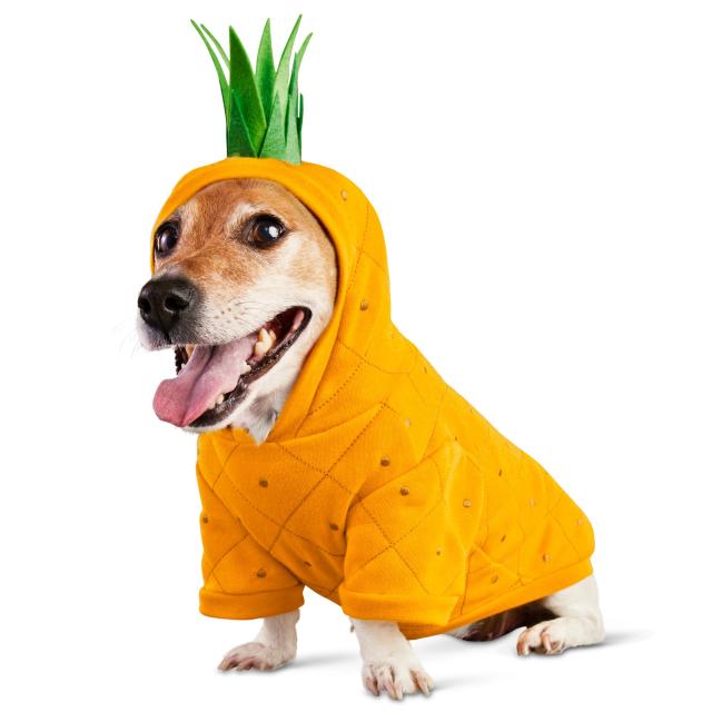 Petco Unveils Pet Halloween Costumes for 2019, Including Avocado Toast and  a Poop Factory