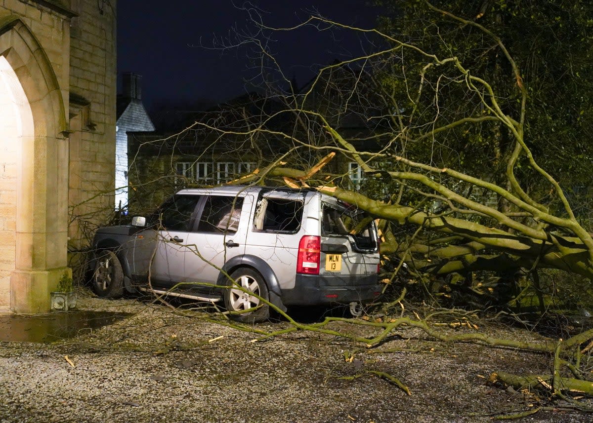 Strong winds uprooted trees leading to futher destruction (Ioannis Alexopoulos/LNP)