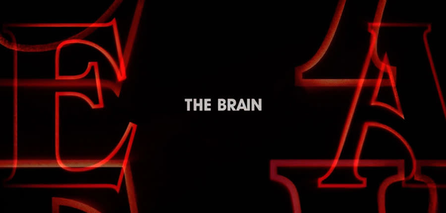 brain