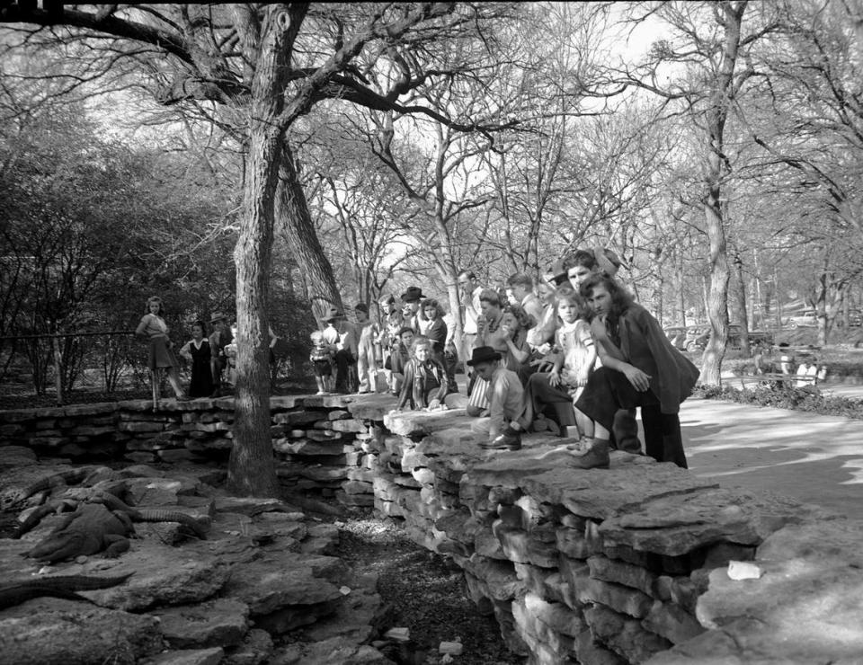 Jan. 25, 1943: A group of people are gathered around the alligator pool at the Forest Park Zoo as they enjoy the reprieve from cold weather. A few alligators can be seen lounging on rocks.