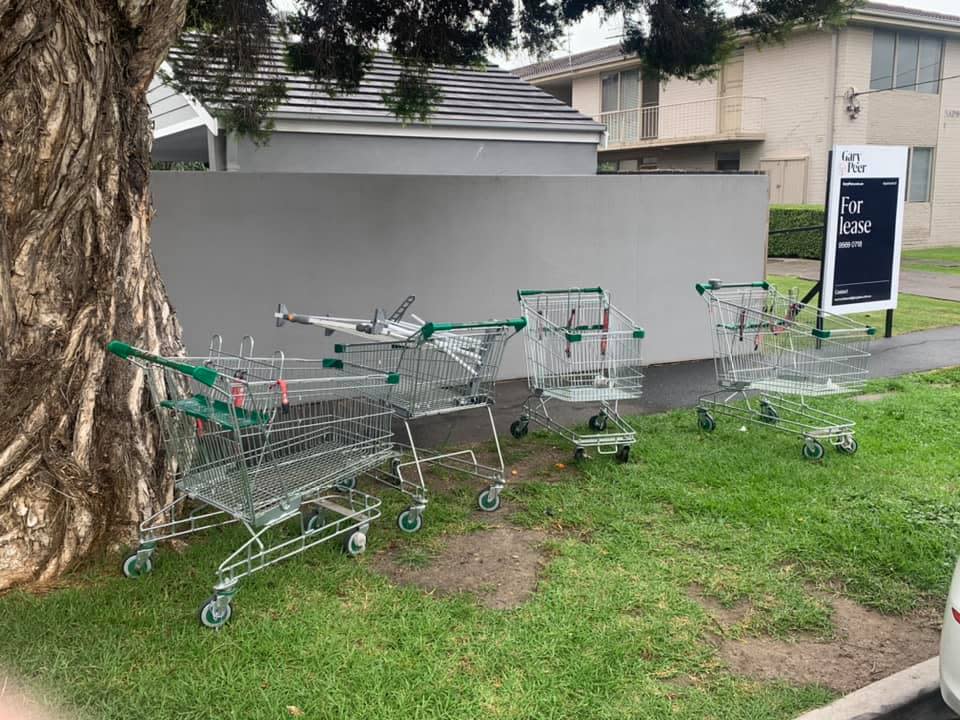 Woolworths trolleys abandoned on the side of the road.