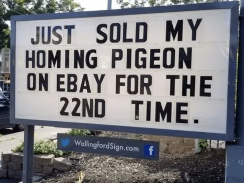 Sign reads: "Just sold my homing pigeon on eBay for the 22nd time."