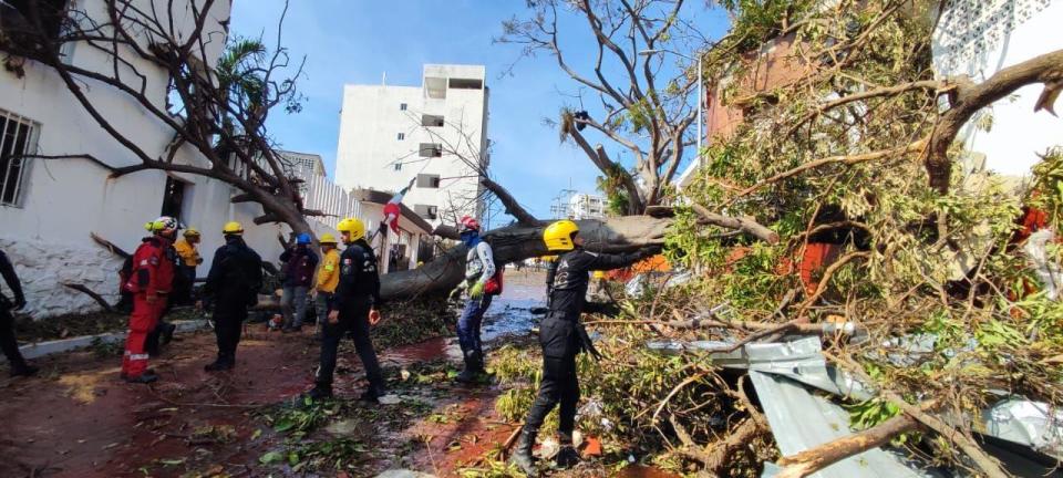 Policías ayudan en la remoción de un árbol derribado