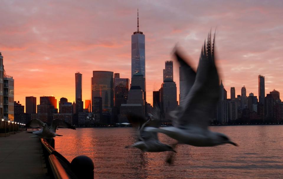 Although the findings are not cause for alarm, researchers say it’s important to keep your pets away from birds. Getty Images