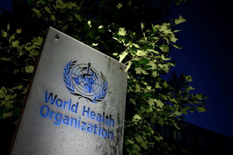 The pandemic agreement talks are being held at the UN health agency's headquarters in Geneva (Fabrice COFFRINI)