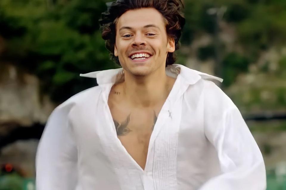 <p>Harry Styles/ YouTube</p> Harry Styles 