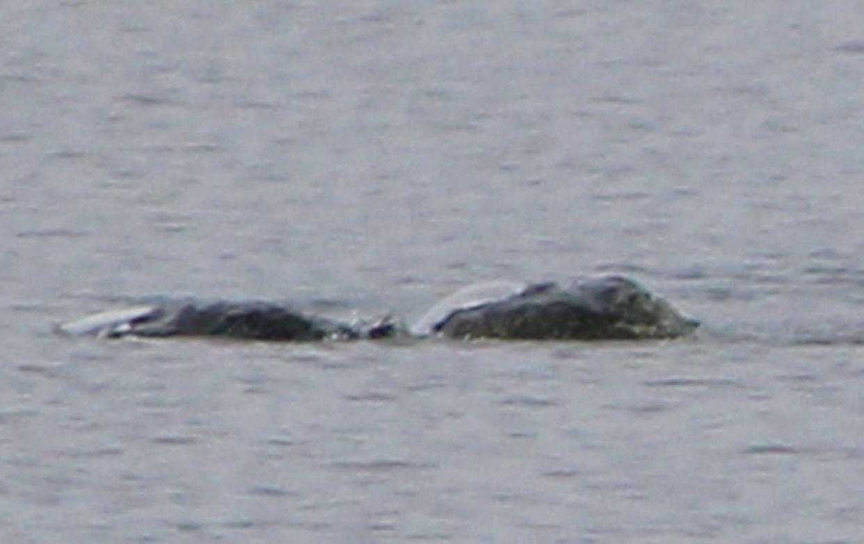 Chie Kelly photographed a 'creature' in Loch Ness