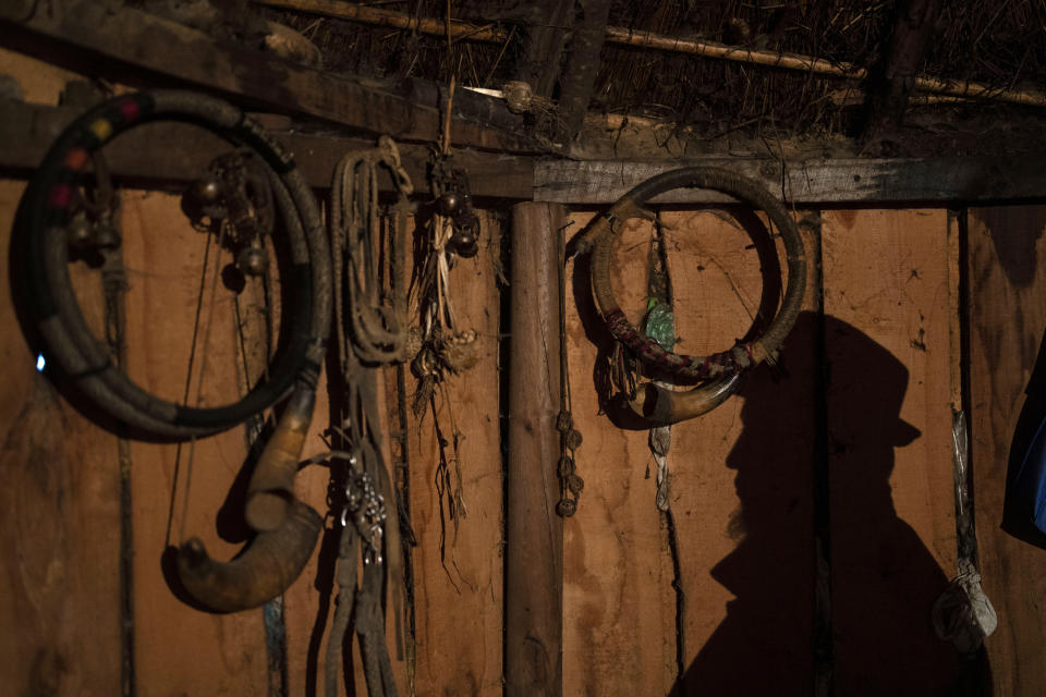 The shadow of Lientur Ayenao, a Mapuche healer and spiritual guide who draws water from the Truful Truful River for his ceremonies, is cast on a wall of his ruka, or traditional thatch-roofed rural dwelling, near Melipeuco, southern Chile, on Sunday, July 10, 2022. (AP Photo/Rodrigo Abd)