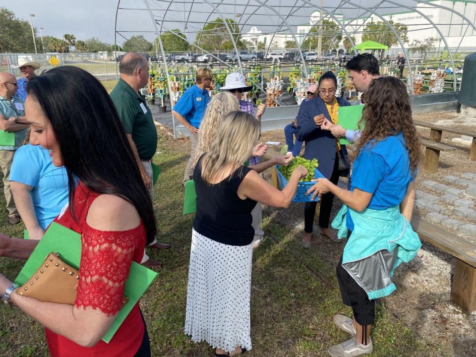 Area teachers sample some nasturtium flowers and curly lettuce during a tour of Island Coast High School's garden.