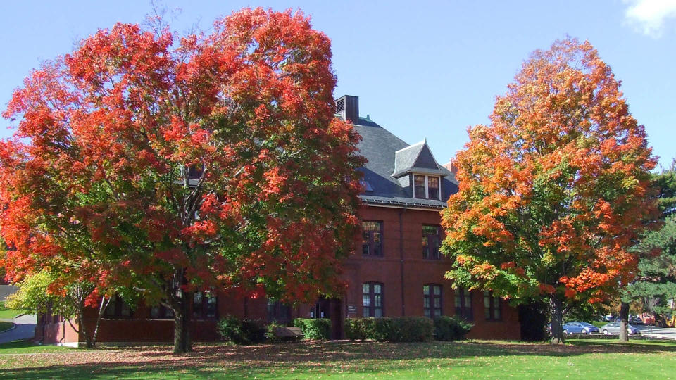 Tufts University